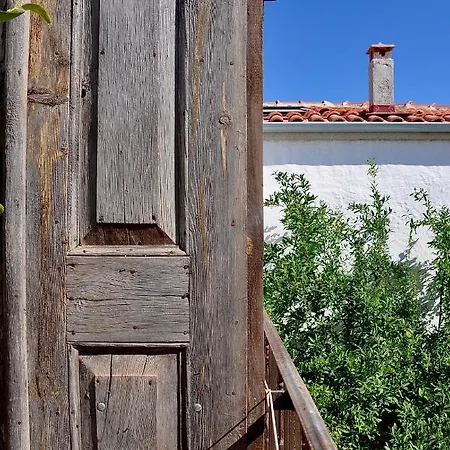Agrumi Gastropub & Izmir